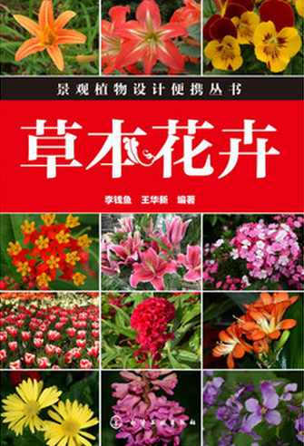 23-主编-草本花卉.png
